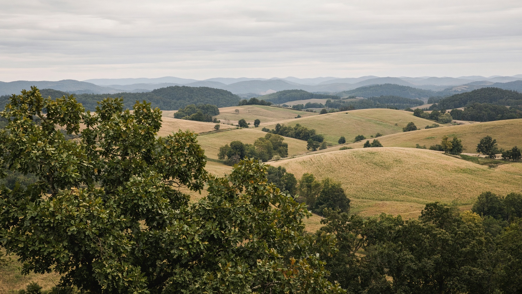 Rolling farmland and oak trees in Berks County, Pennsylvania.